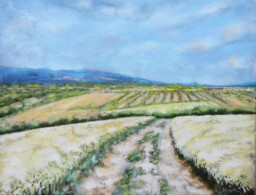 Vyprahlá cesta  50x65